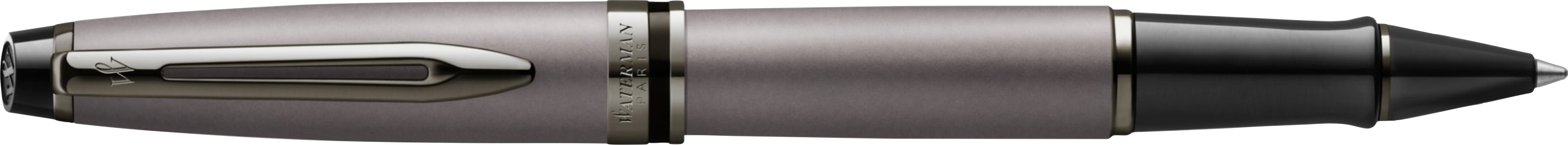 2119255 Ручка-роллер Waterman Expert Deluxe Metallic Silver RT F черные чернила подар.кор.